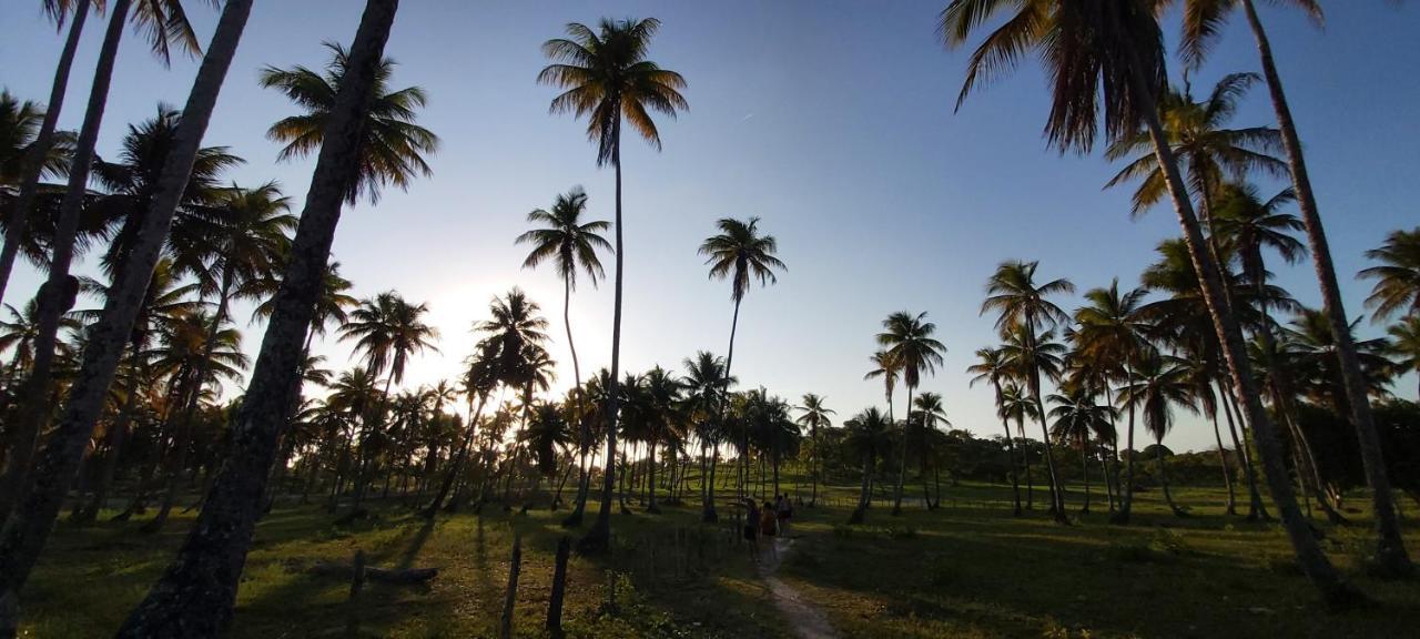 Pousada Casa Da Edinha Velha Boipeba Buitenkant foto